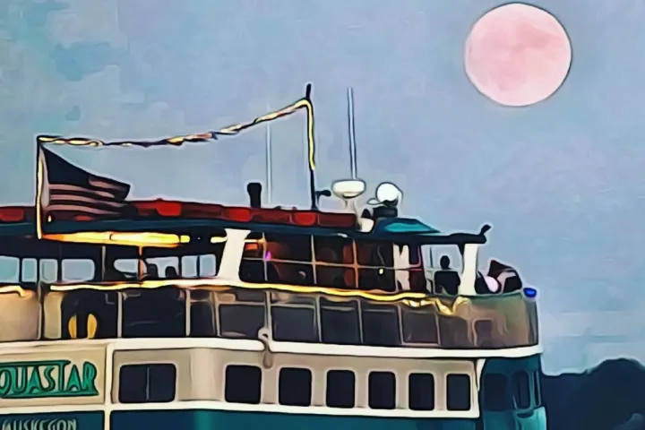 a large ship in the background
